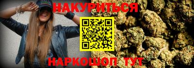 крисы Шелехов