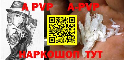 крисы Шелехов