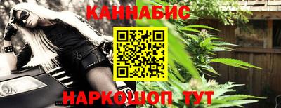 крисы Шелехов