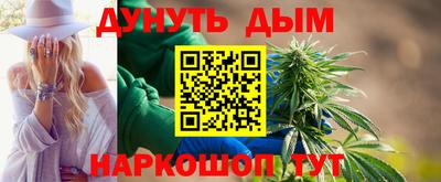 крисы Шелехов