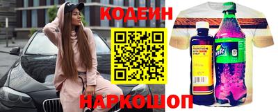 крисы Шелехов