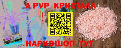 крисы Шелехов