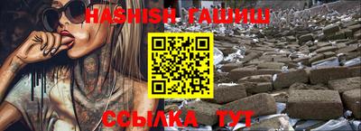 крисы Шелехов