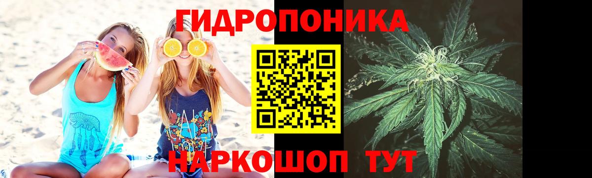 МАРИХУАНА ГИДРОПОН  Каннабис SATIVA & INDICA  Вход с VPN  Бошки Шишки THC 21%  Ачхой-Мартан  МАРИХУАНА тримм 